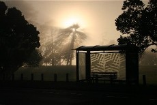 CoyleParkMetroBusStopRachaelCotton-Bronte1