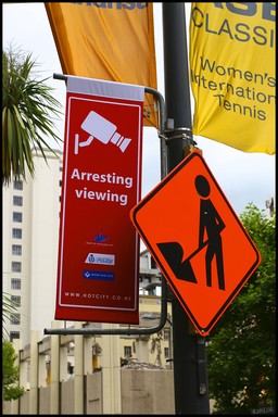 Janice Dunn; Arresting Viewing; All these signs seem to be telling us something   but what?