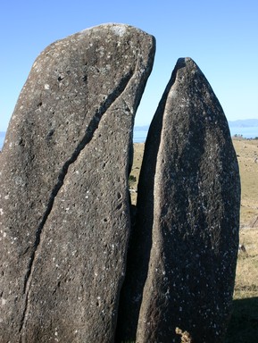 Toni Tanner; Whale Rock; Stoney Batter Waiheke Island   the wonders of nature!