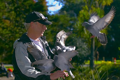 John Ling; Passion between men & birds; It was taken in Auckland Domain this month