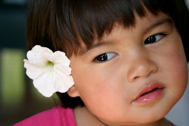 Ken Ogiyama;IMG_4710 2;My girl loves the flower