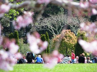 JERRY ZINN; SPRING AT CORNWALL PARK; A LOVELY SPRING FEELING ALL ROUND