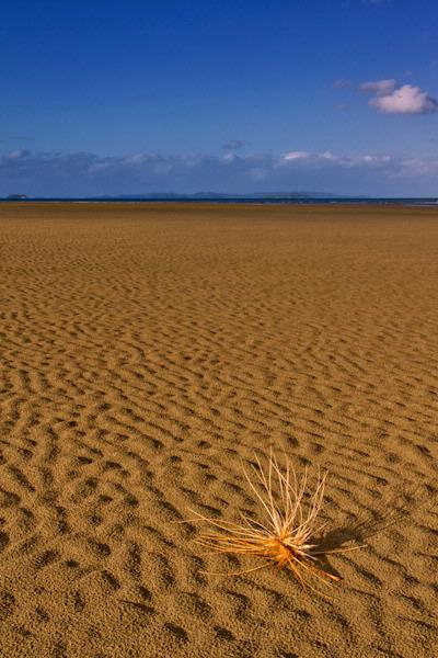  Beaches of Auckland