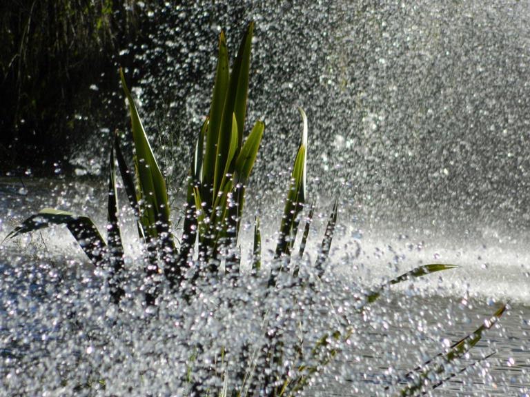 Fleur Vonlanthen; Flax; Droplets from two fountains