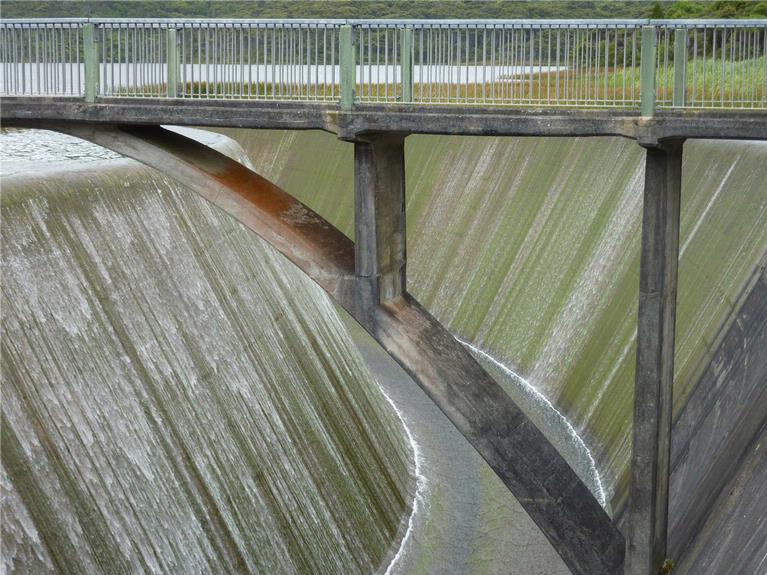 Lindsay Pratt;Dam in Waitakere Ranges
