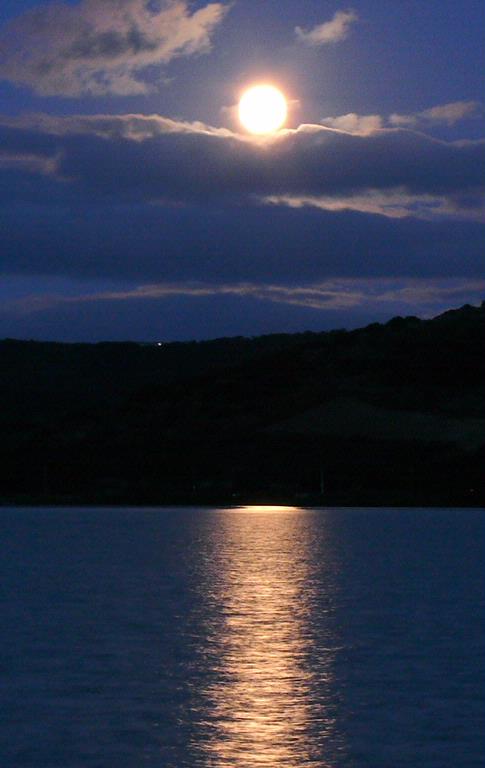 Stuart Weekes;6th May   Perigee of the Moon.; Taken across Putiki Bay, Waiheke.
