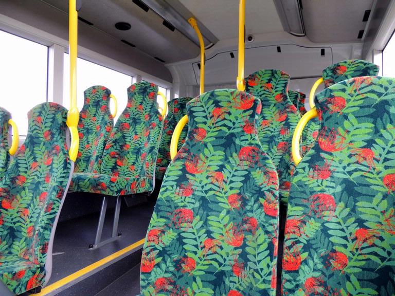 John McKillop; These are waiting for you!!; No crowding on the 580 bus from Botany to Howick.
