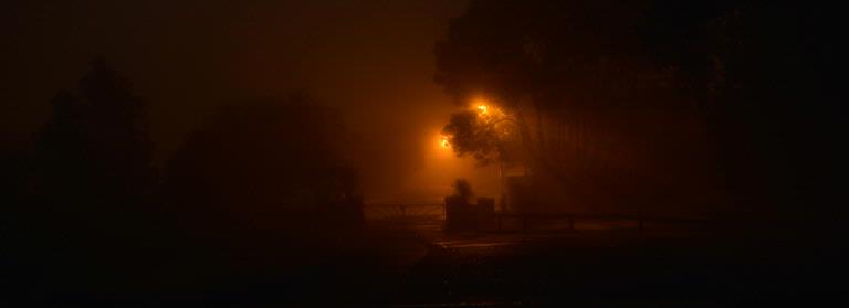 Peter Jennings; A foggy Mt Albert morning