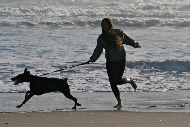 Zelda  Wynn;Winter fun at Piha;Sunny day at Piha, a run with the dog