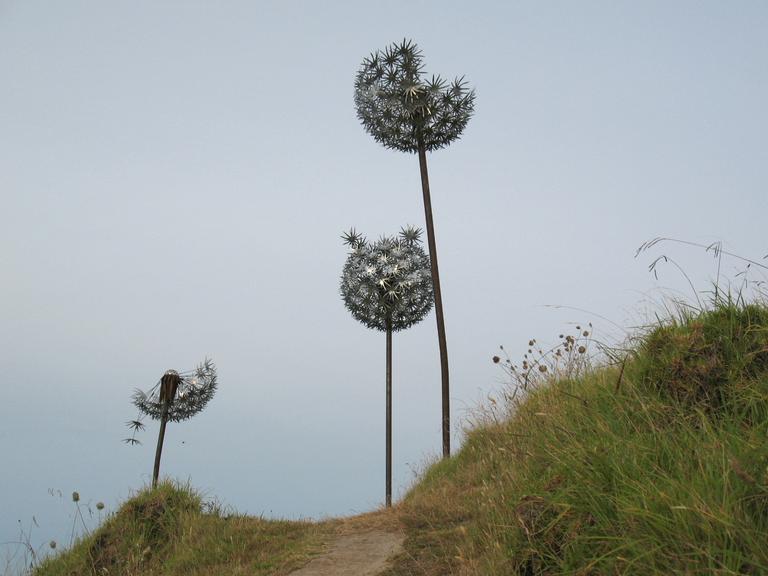 Stuart Weekes; Dandelions; A favourite from Sculpture on the Gulf