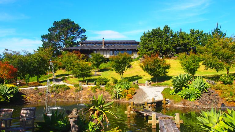 henrylau; Zen Garden; The Secret Place to relax
