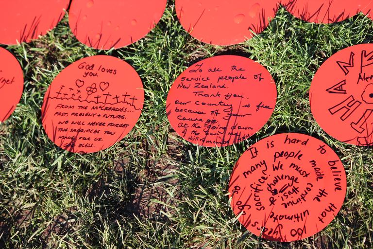 Leigh Burrell; Close Up; The Giant Poppy Project, Auckland Domain