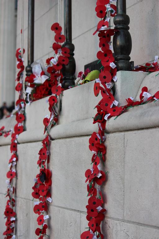 Leigh Burrell;Poppies on the Cenotaph;Dawn Service at the Auckland Museum