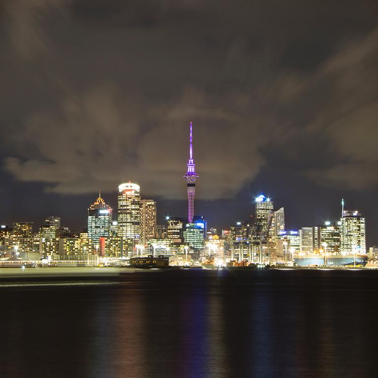 Carolina Dutruel; Bright Lights; Auckland at night as seen from Davenport