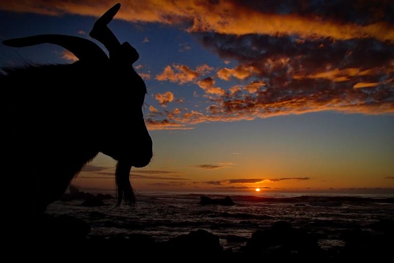 Caro Brooking; Masports Muriwai Magic; The sun sets on our West Coast wonderland