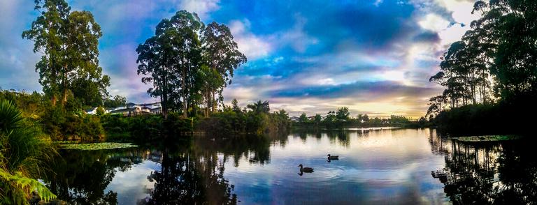 Frenie Perlas;Ducks by the Lake;Lake Panorama, Henderson