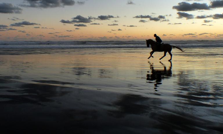 Mirjam van Sabben;Galloping Into Twilight;Taken at Bethels Beach