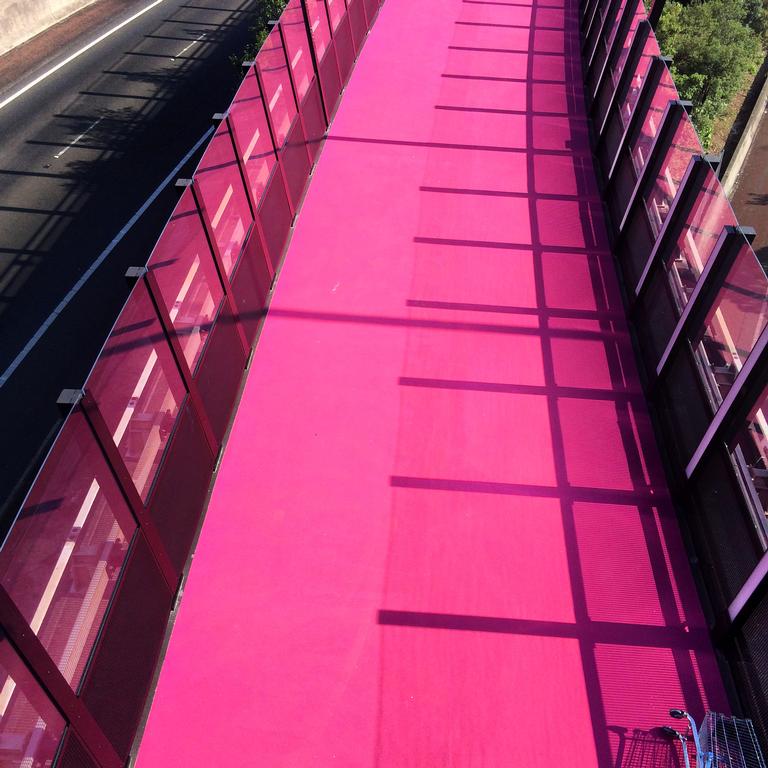 Serene Lorimer; Pink cycleway