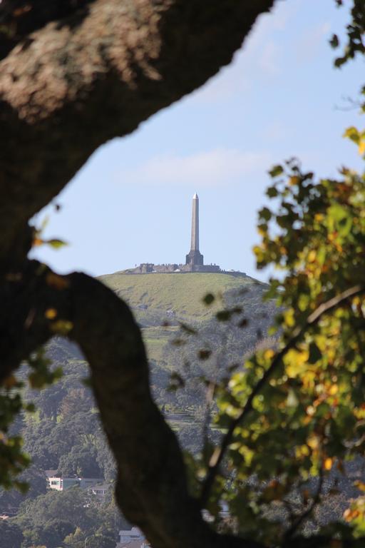 Leigh Burrell;Focussed Obelisk;One Tree Hill from Monte Cecilia Park