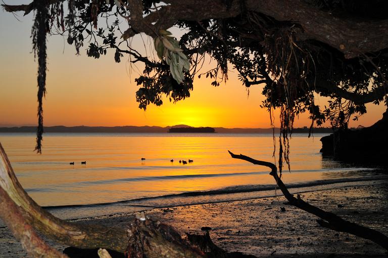 Ed Adam; Flat Island sunrise; Beachlands from Cockle Bay