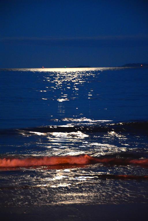 Moon light on the sea