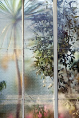 Eleanor Gannon;Botanical Window