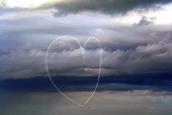 Lynn Clayton; Everyone Loves Auckland; Anniversary Day above the harbour.