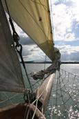 Anita Szabo Ryan; Sailing 1; I was sailing on the Ted Ashby boat in Auckland harbour on the 24th April
