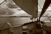 Anita Szabo Ryan; Sailing 2; I was sailing on the Ted Ashby boat in Auckland harbour on the 24th April