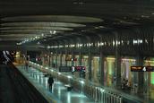 Doug Humby; Britomart station on a glow show; Britomart Rail Station