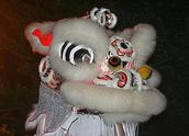 Suzette; Dragon Dance