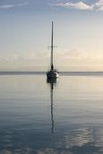 Toni Tanner; Seamans View