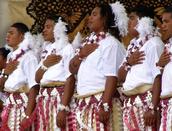John Penney; PolyFest Tongan Display