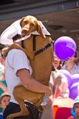 Edwin Wood;Scared; Farmer's Santa Parade 2008, Auckland
