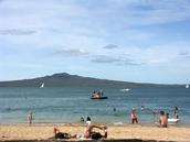 Zelda  Wynn;Summer on the beach; Perfect weather on Cheltenham beach.
