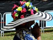 Steve Harper; Beautiful Hat; Niuean dancing fun