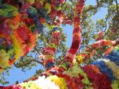 Tamara Stewart; Tree of lei; Splore Festival, Tapapakanga Regional Park