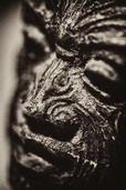 EJ Mathers; Ta Moko; Digital Macro Photograph
