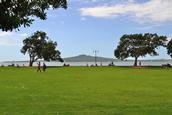 Daniel Worthington; Mission Bay; Take from Mission Bay on a hot day.