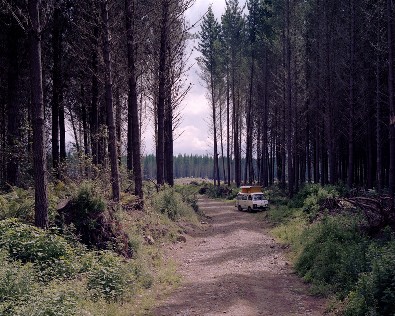 James K Lowe; Camper New 2012