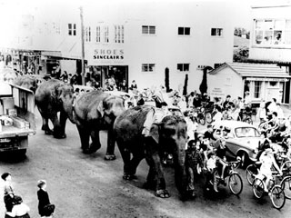 Footprints-Of-Manukau