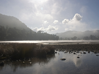Huia Bay