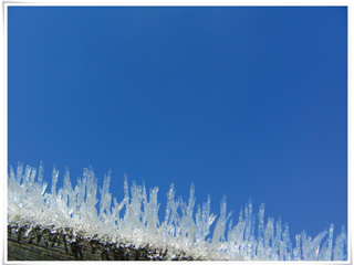 Icicleweb