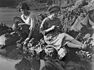 KnittingonRocks