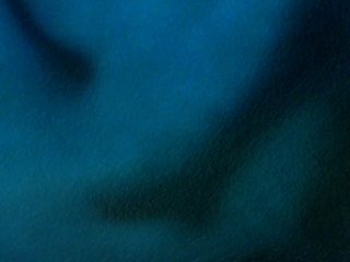 TidalFlowWeb