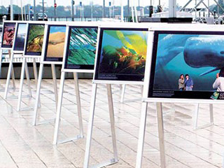 ExhibitionresWeb