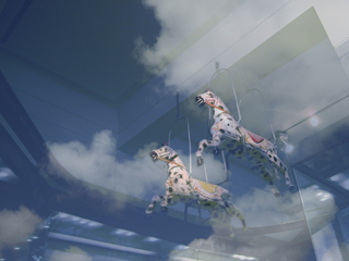 Skysthelimit