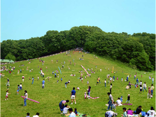 tsuchidaWeb