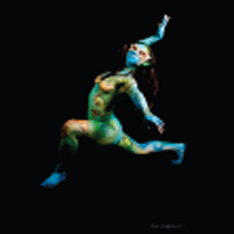 HumanCanvasses