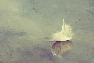 Feather_christine